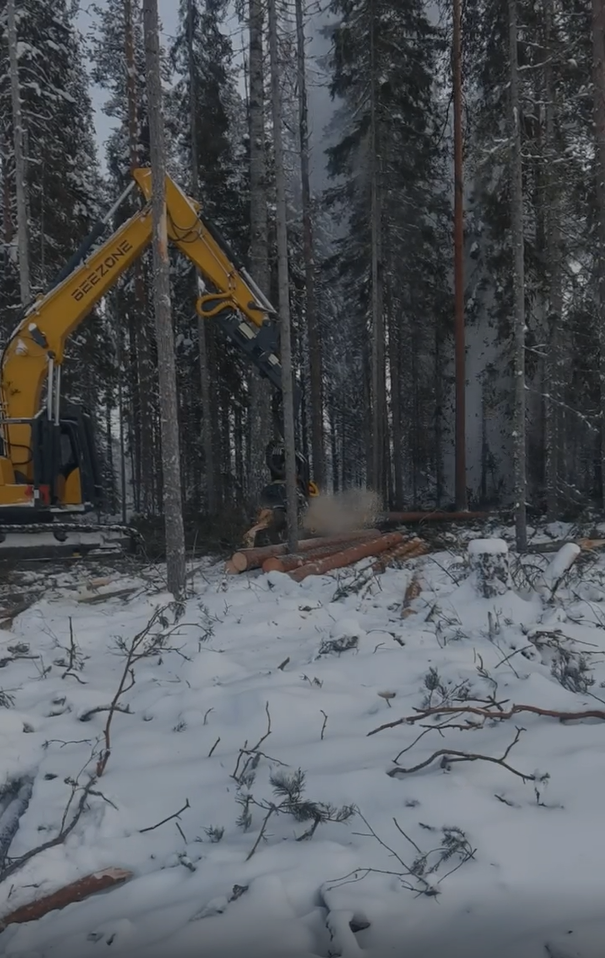 傳統(tǒng)林業(yè)生產(chǎn)